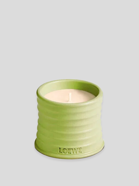 Cucumber Candle Small - ohne Farbe